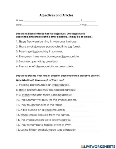 Adjectives and articles