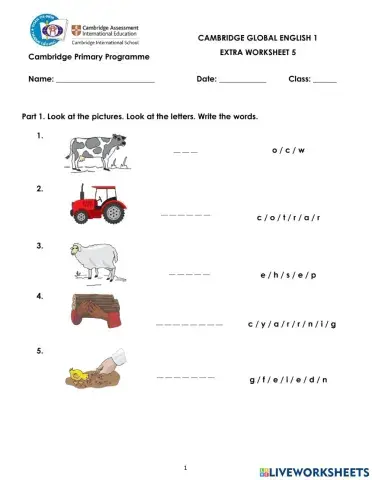 Extra Worksheet 5