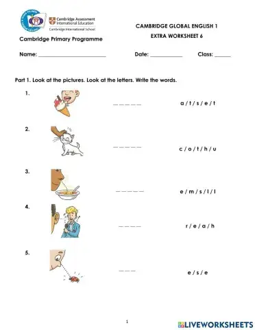 Extra Worksheet 6