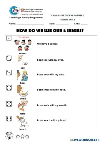 CGE1-Review U6-Vocabulary