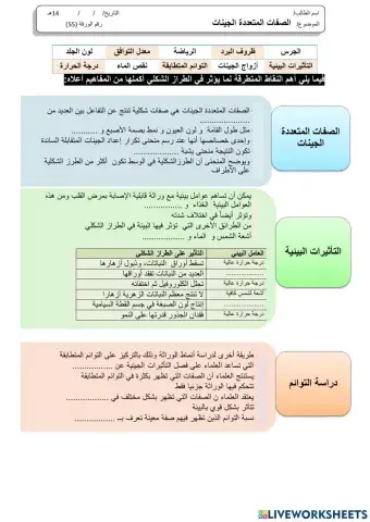 ورقة عمل 55( معدلة)