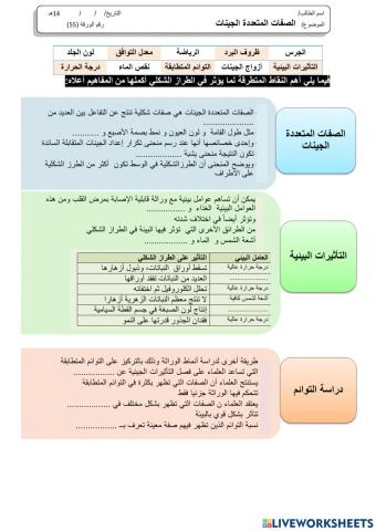 ورقة عمل 55( معدلة)