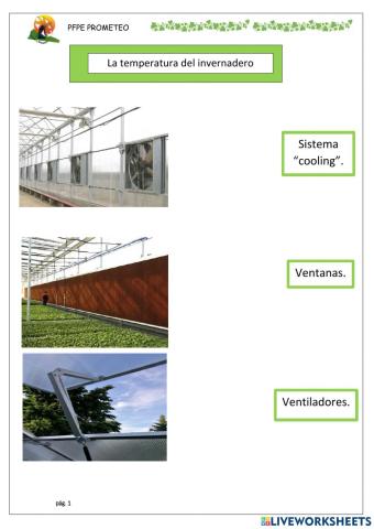 Temperatura invernadero