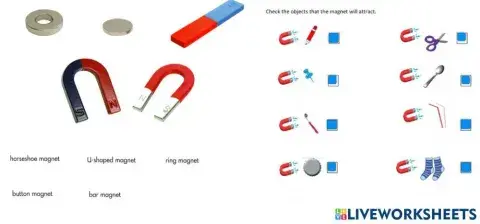 Sm sd 4 science magnets