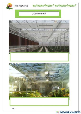 Invernaderos, riego y temperatura