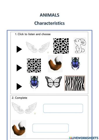 Animals and characteristics