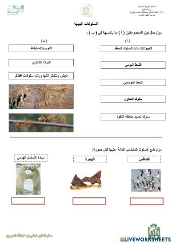 السلوكات البيئية