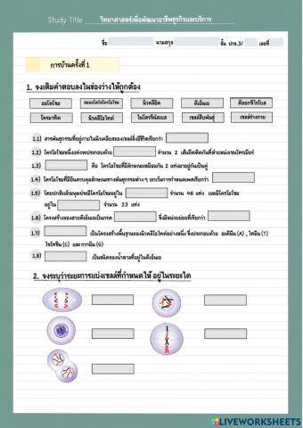 Review1 ปวช.3-65