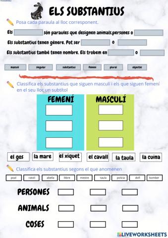 Els substantius