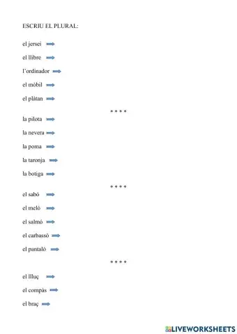 El plural - Aula d'Acollida