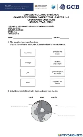 Cambridge primary test