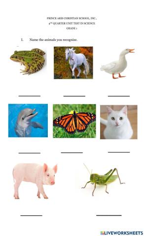 Gr.1 science 4th unit est