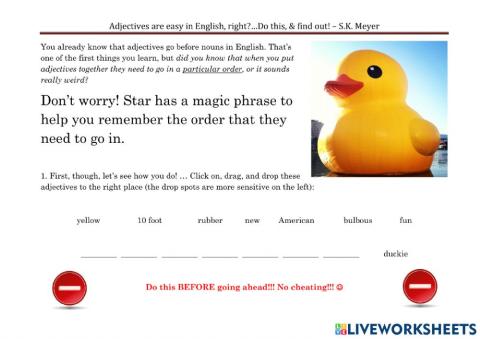 SMT-adjectives-order