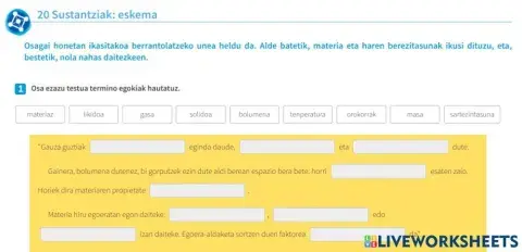 20. jarduera SUBSTANTZIAK ESKEMA