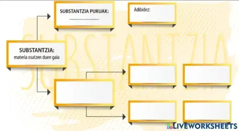 20. jarduera Substantziaren eskema