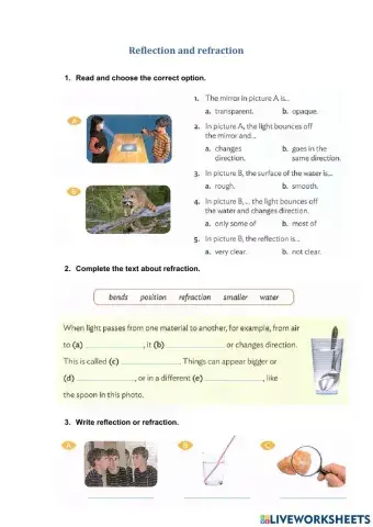 Reflection and reflaction