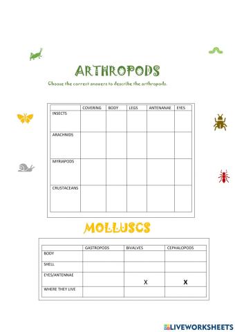ARTHROPODS and Molluscs