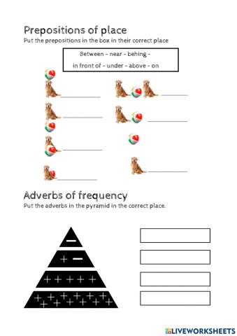 Prepositions of place -Adverbs of frequency