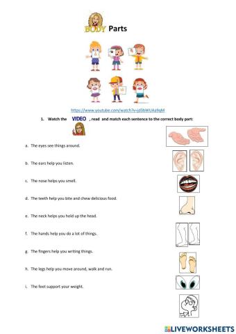 Body Parts Worksheet
