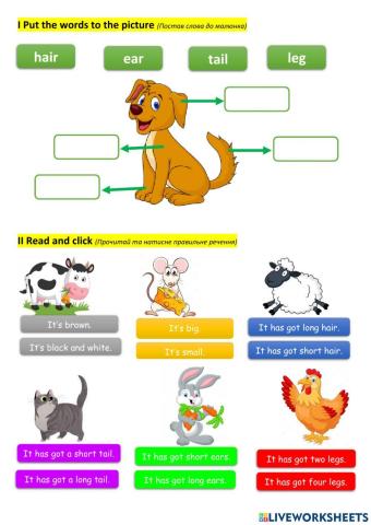 Quick Minds, In the countryside