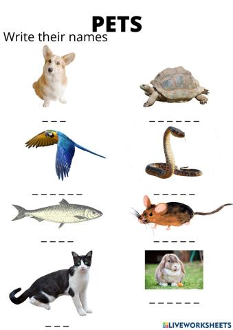 Pets