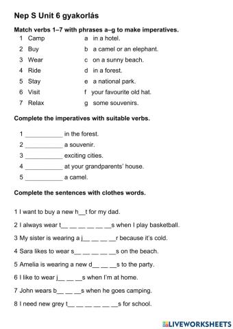 NEP S Unit 6 Practise