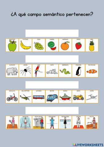 ¿A qué campo semántico pertenecen?