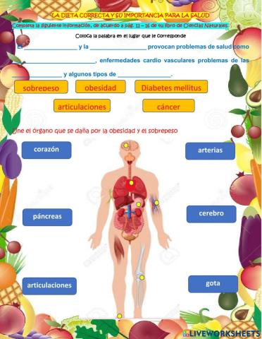 La dieta correcta y su importancia para la salud