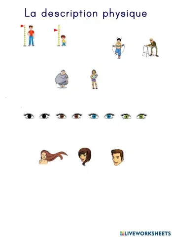 Description physique
