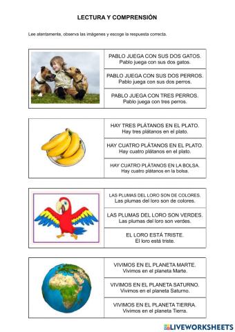 Lectura y comprensión de oraciones