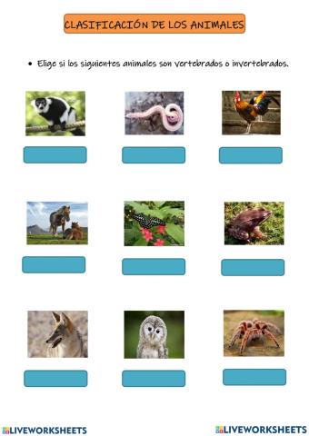 Clasificacion de los animales