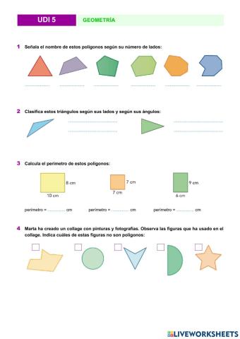 Control Geometría UDI 5