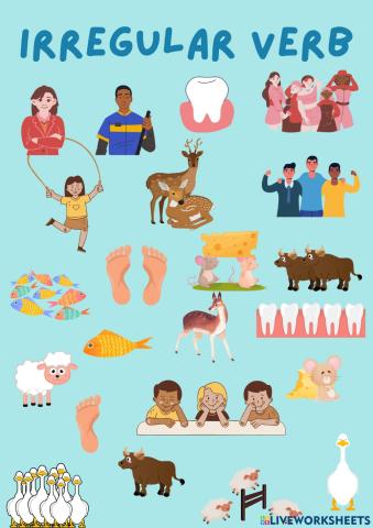 Irregular plural noun