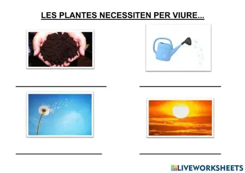 Les plantes necessiten