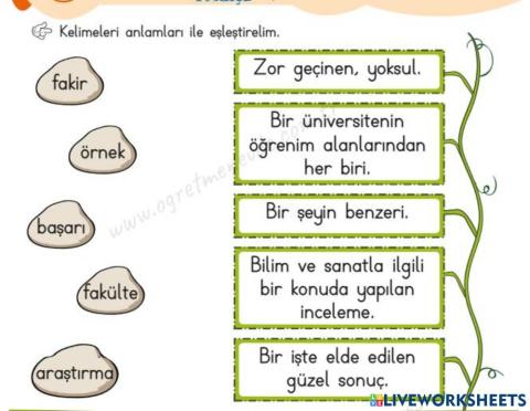 Oku, Anla ve Eşleştir