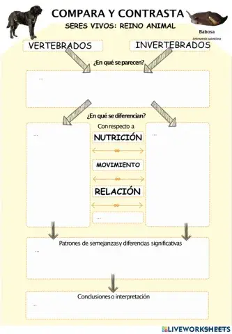 Rutina: COMPARA-CONTRASTA TELEMÁTICA SA1