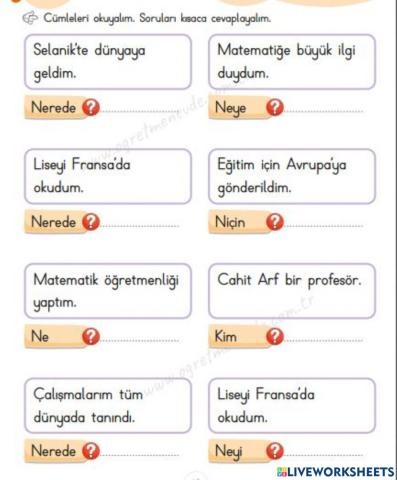 Cümleyi Oku, Soruyu Cevapla!!!