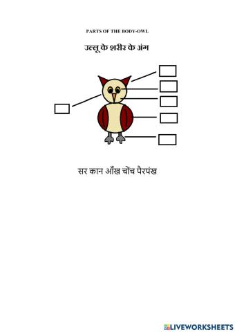 Parts of Body in Hindi