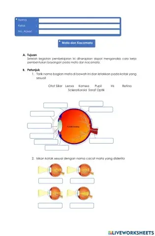 Penilaian Harian Optik (Mata dan Kacamata)