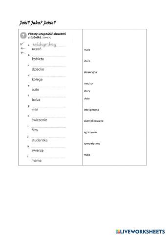 Jaki? Jaka? Jakie?