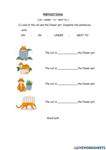 Prepositions of place