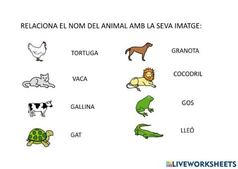 Relacionar animals