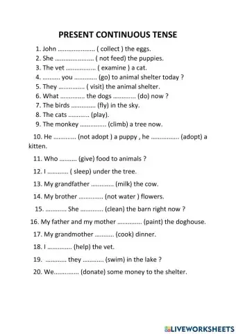 Present contınuous tense