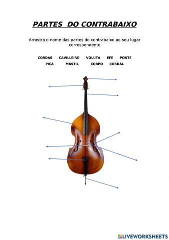 partes do contrabaixo