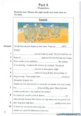 Reading-writing-part-4-5-6-7-t-2-b3-2019