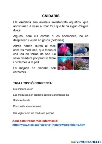 Invertebrats: els cnidaris