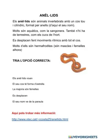 Els invertebrats: anèl·lids