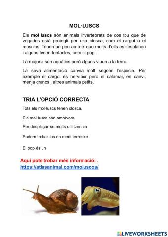 Invertebrats: els mol·luscs