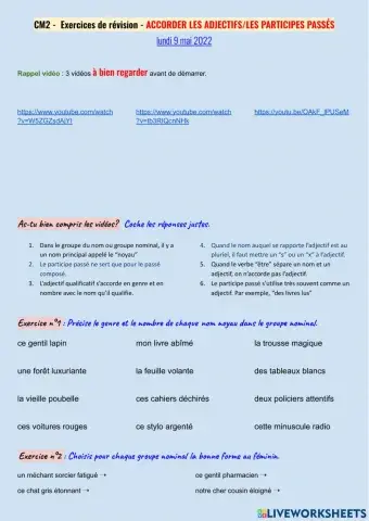 Révisions - l'accord des adjectifs