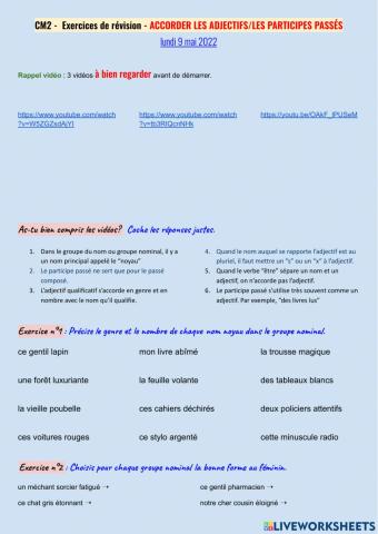 Révisions - l'accord des adjectifs